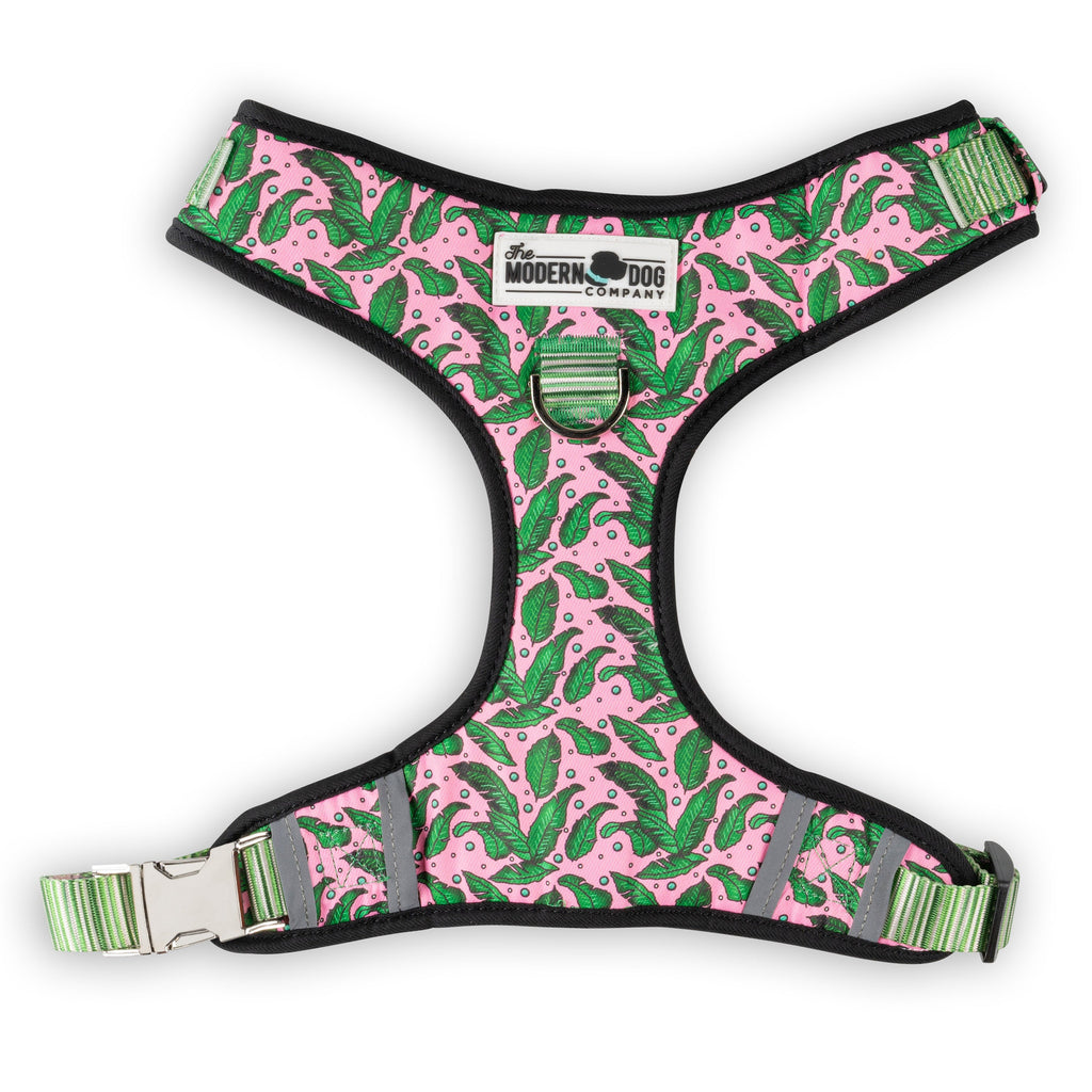 Pink Tropics Harness