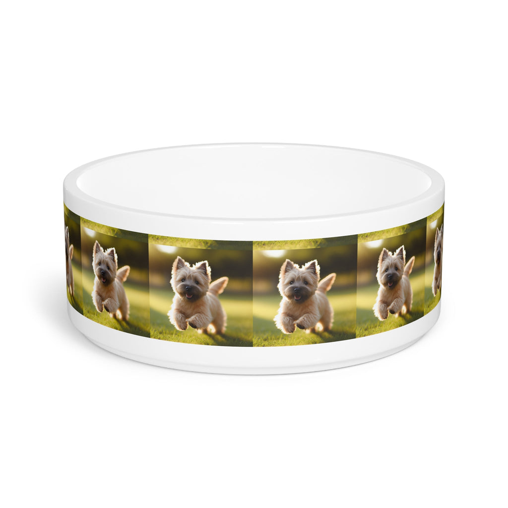Ceramic Pet Bowl – 16 oz Dog Feeding Bowl