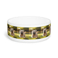 Ceramic Pet Bowl – 16 oz Dog Feeding Bowl