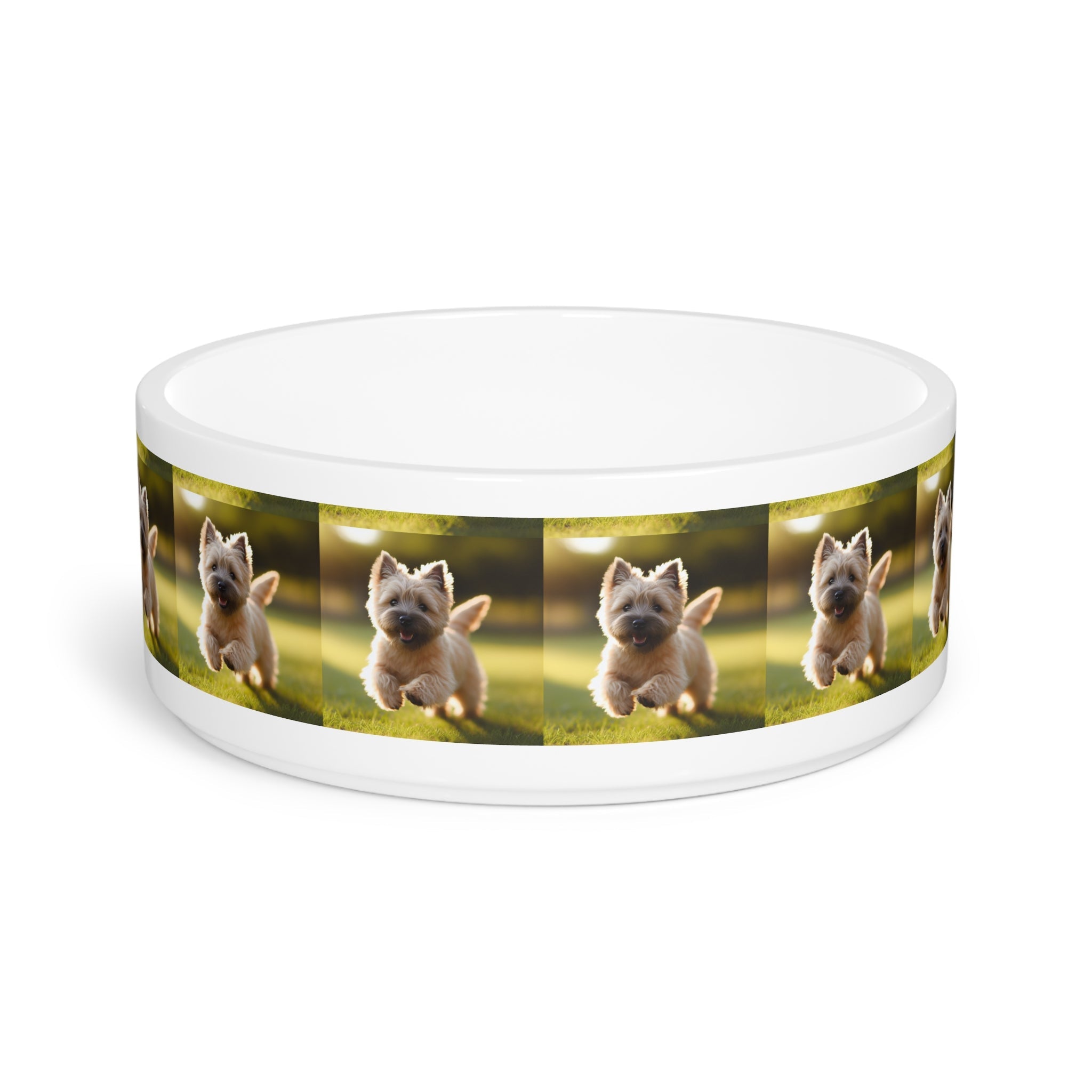 Ceramic Pet Bowl – 16 oz Dog Feeding Bowl
