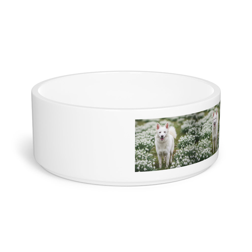 Ceramic Pet Bowl – 16 oz Dog Feeding Bowl
