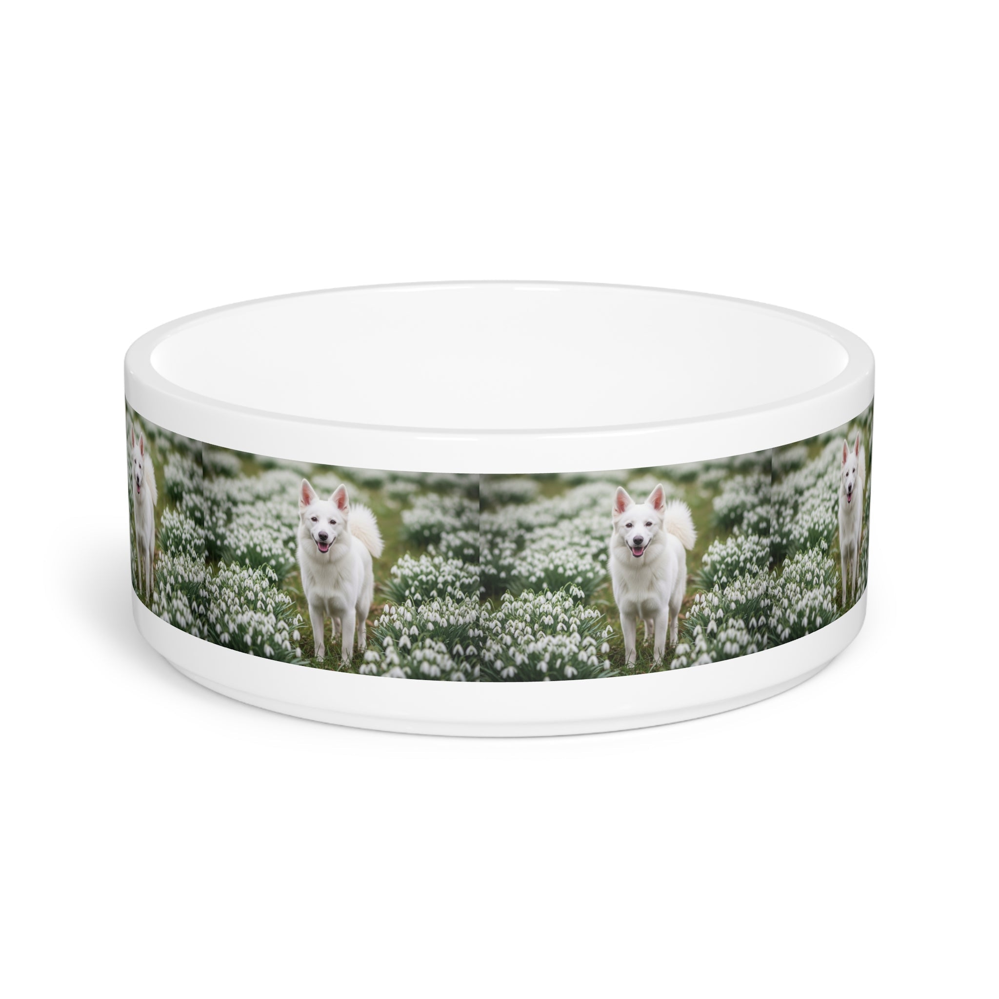 Ceramic Pet Bowl – 16 oz Dog Feeding Bowl