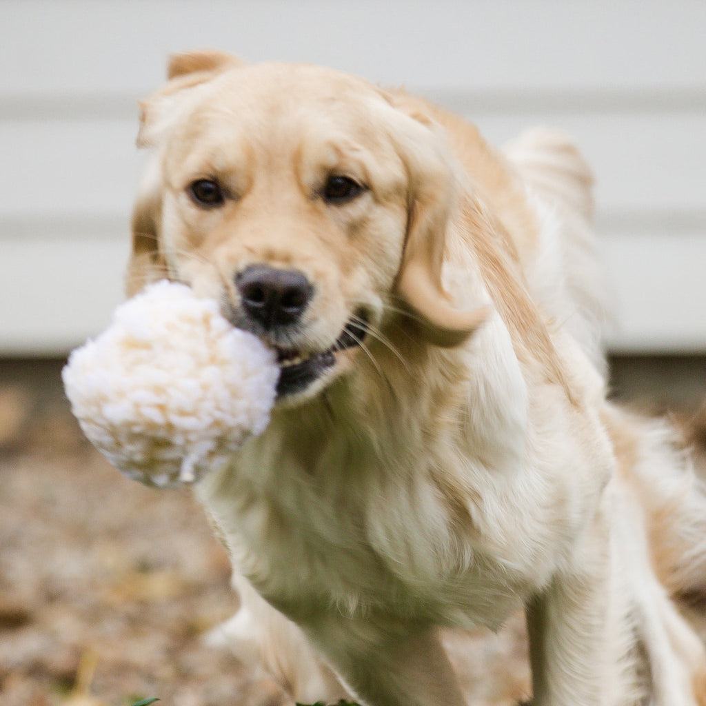 HuggleFleece® Plush Ball Dog Toy