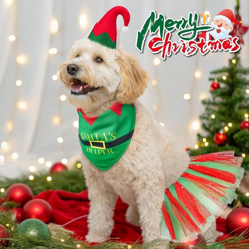 Birthday & Holiday Dog Costume Set with Tutu, Bandana & Hat, Holiday Outfit S–M