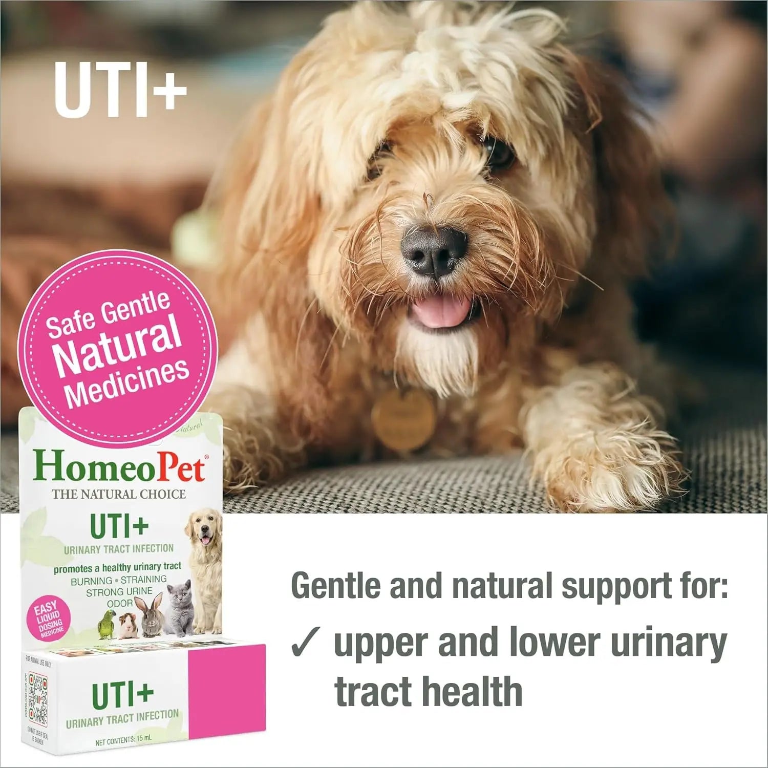 Cat UTI Relief Drops Natural Urinary Tract Support Supplement 15ml