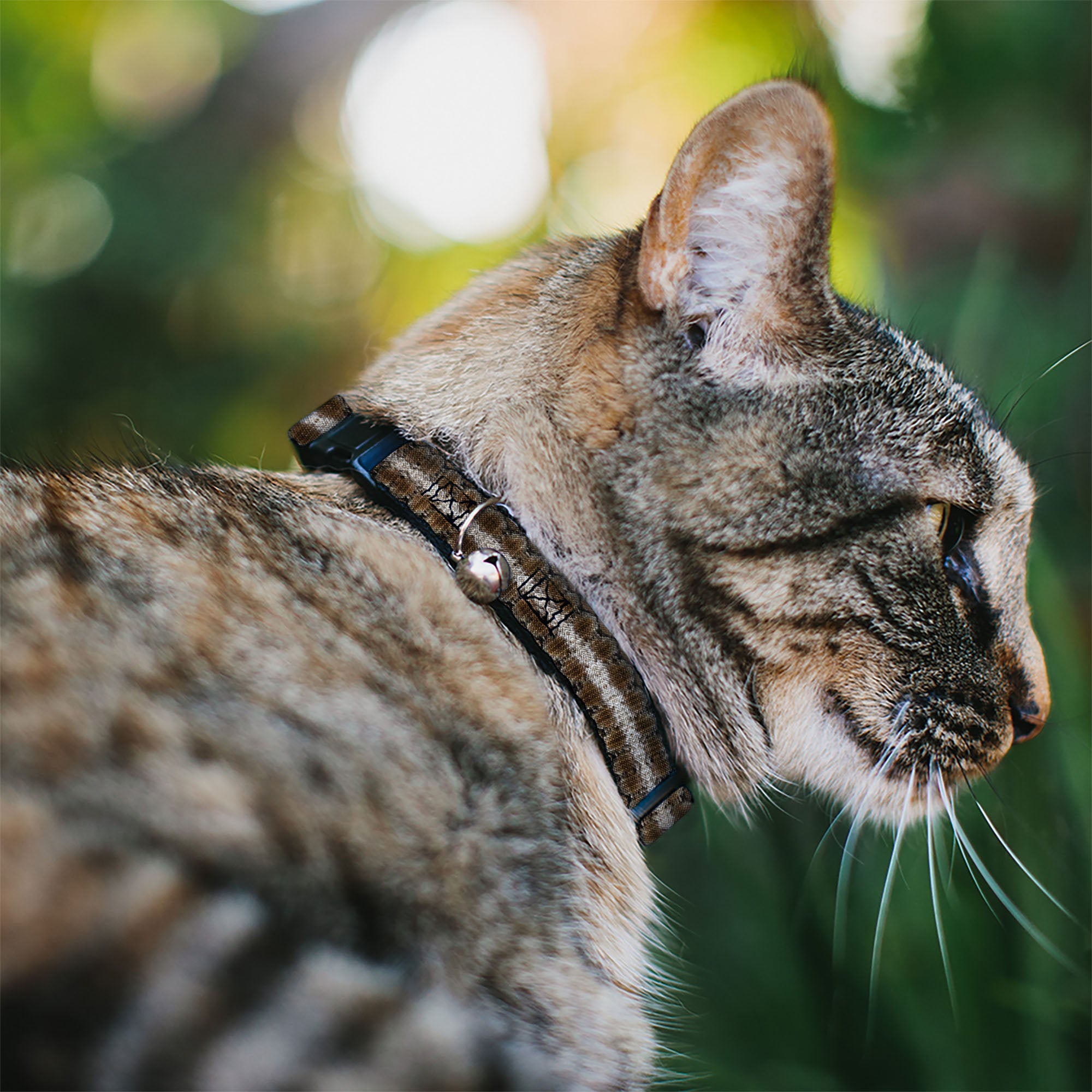 Cat Collar Breakaway - Snake Skin 2
