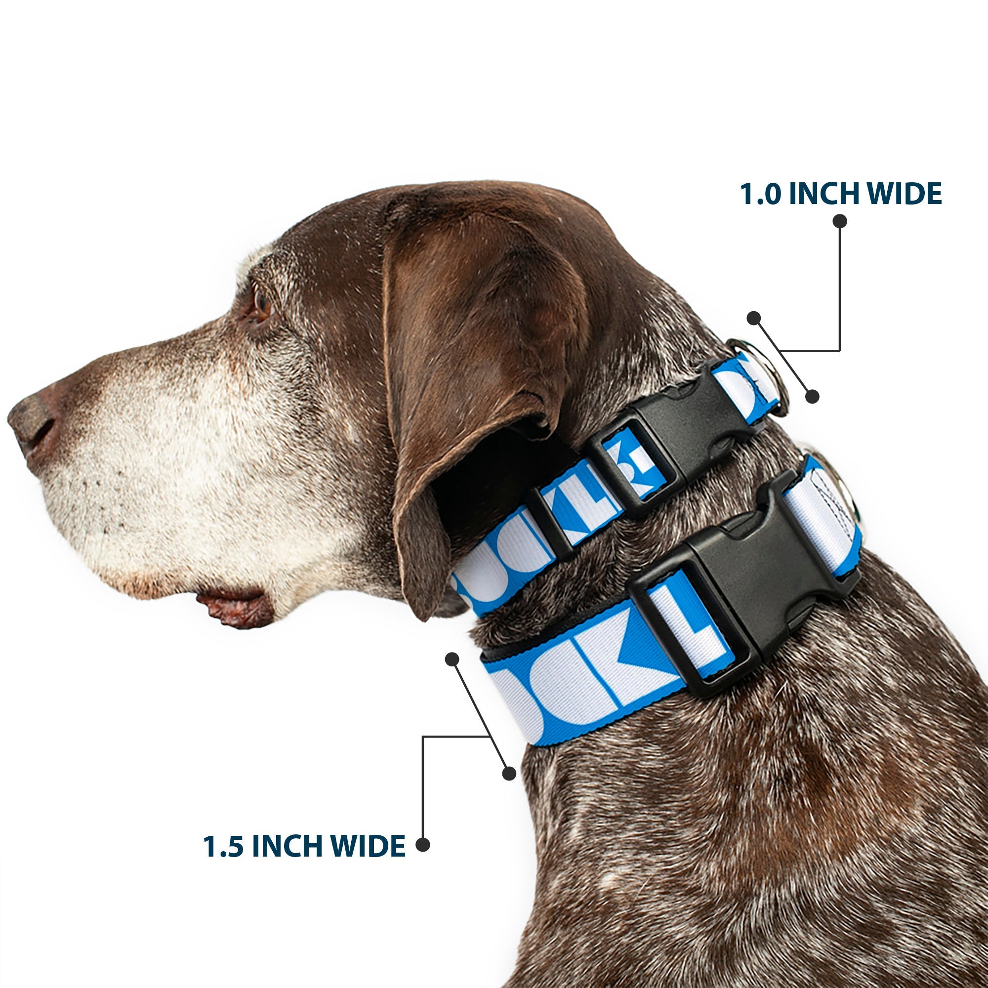 Plastic Clip Collar - BUCKLE-DOWN Shapes Turquoise/White