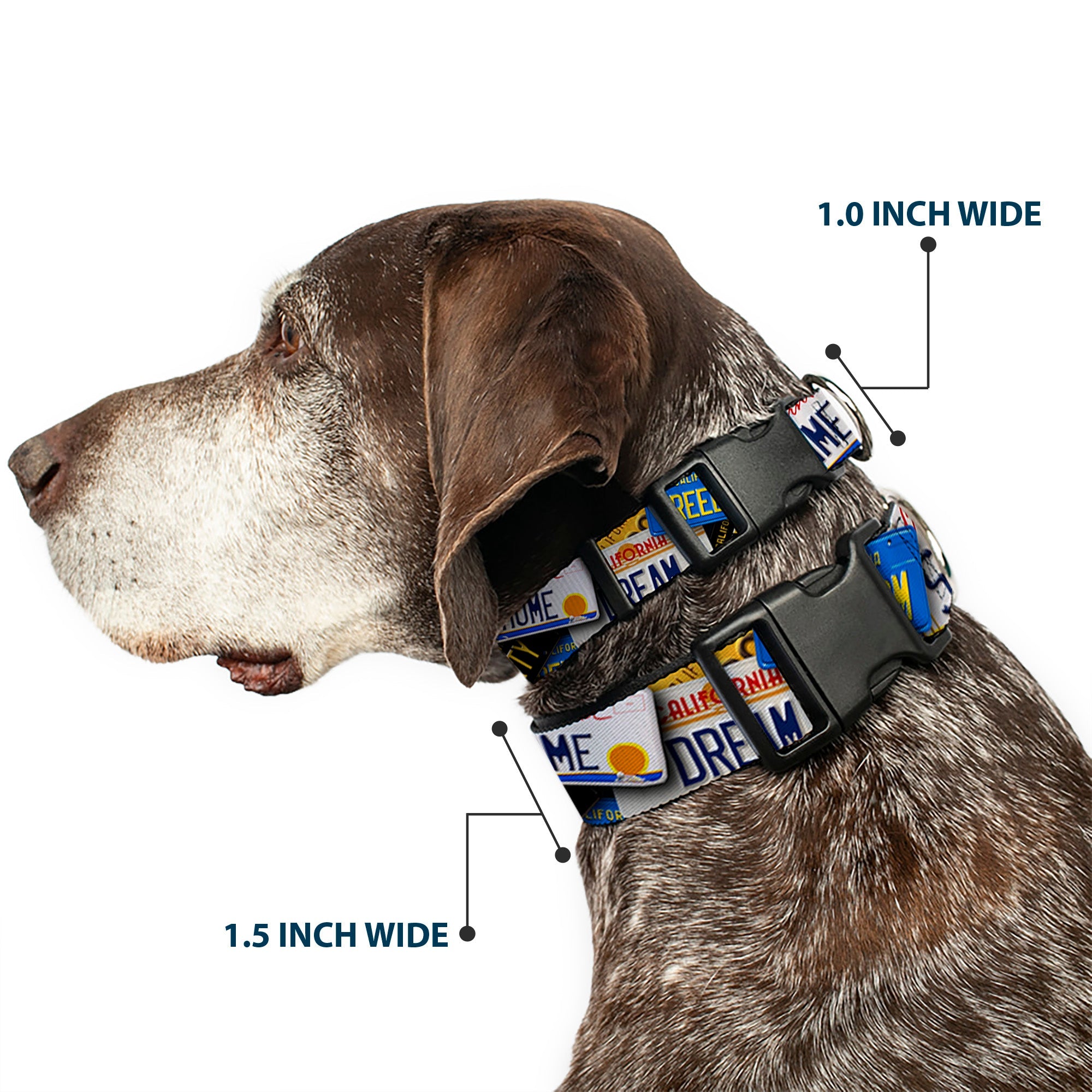 Plastic Clip Collar - Cali License Plates Stacked