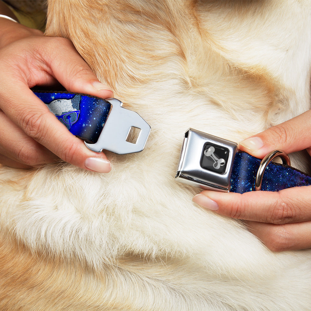 Dog Bone Seatbelt Buckle Collar - Laser Eye Cats in Space
