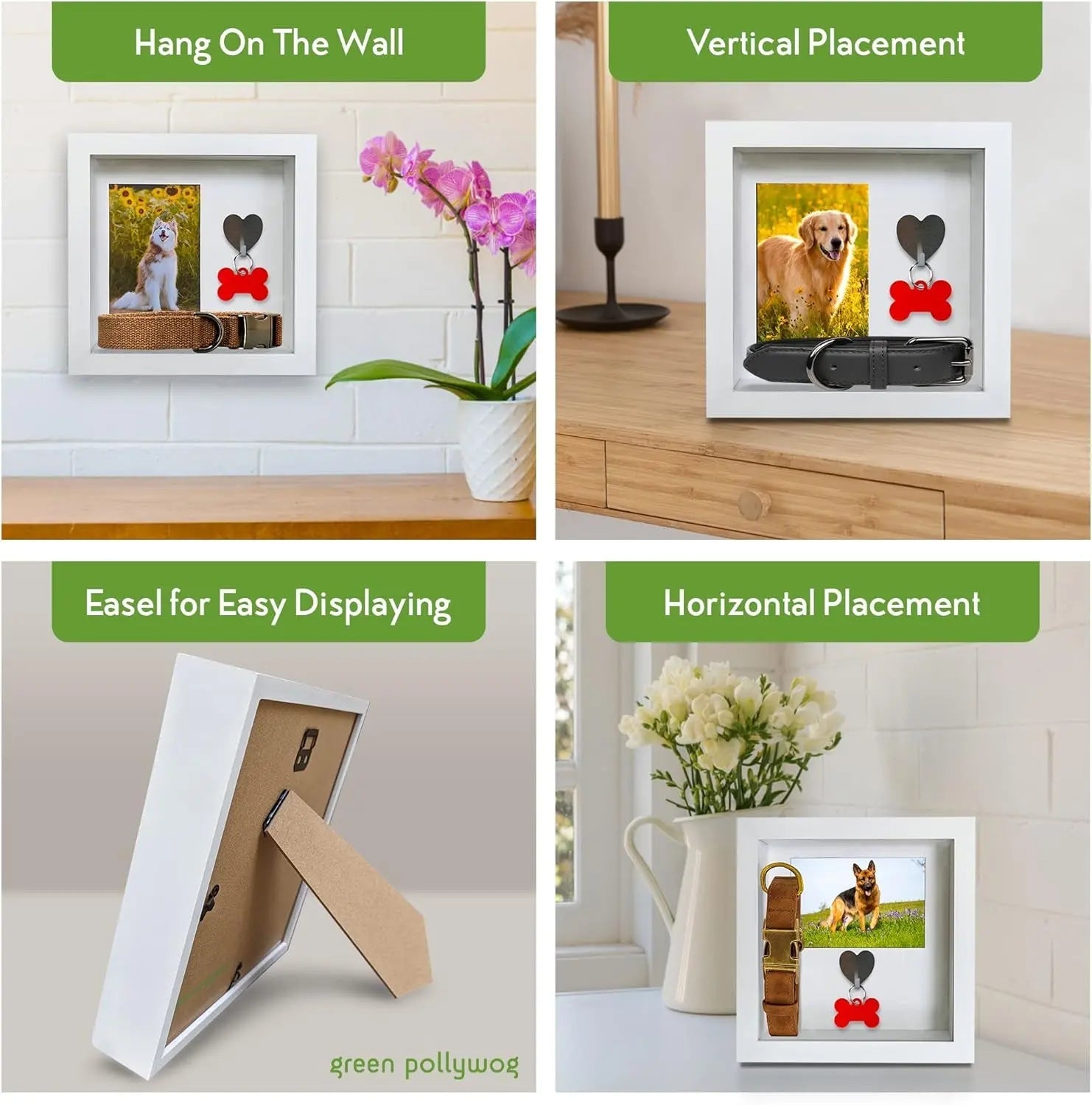 Green Pollywog Pet Memorial Shadowbox | Collar, Tag & Photo Keepsake