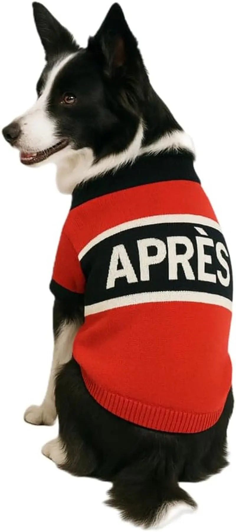 Luxury Knit Dog Sweater for Small Dogs | Warm Designer Pet Outfit (XS–5X)