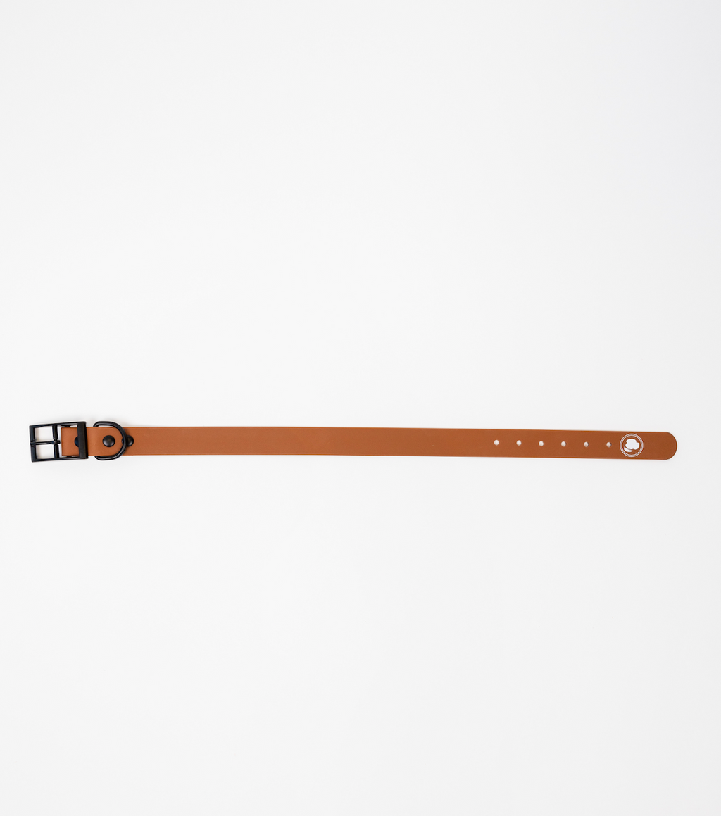 Coco Brown Collar (Weather + Odor Resistant)