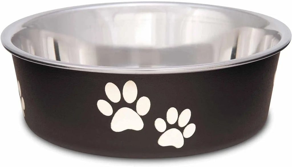 Stainless Steel Dog & Cat Bowl | Spill-Resistant Feeding Bowl (various colors)