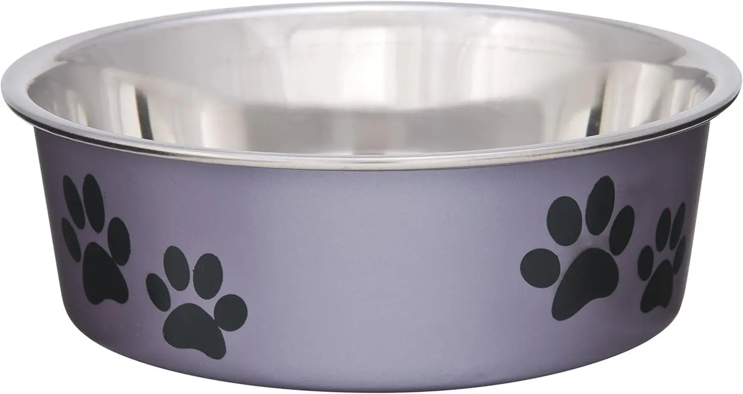 Stainless Steel Dog & Cat Bowl | Spill-Resistant Feeding Bowl (various colors)