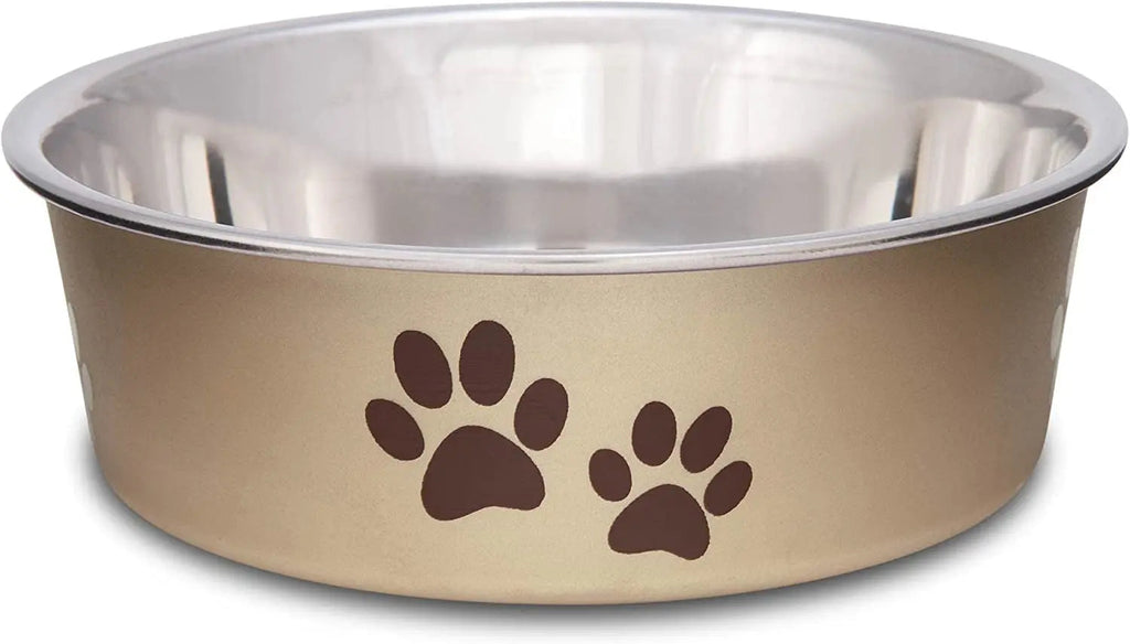 Stainless Steel Dog & Cat Bowl | Spill-Resistant Feeding Bowl (various colors)