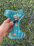 Camping Harness