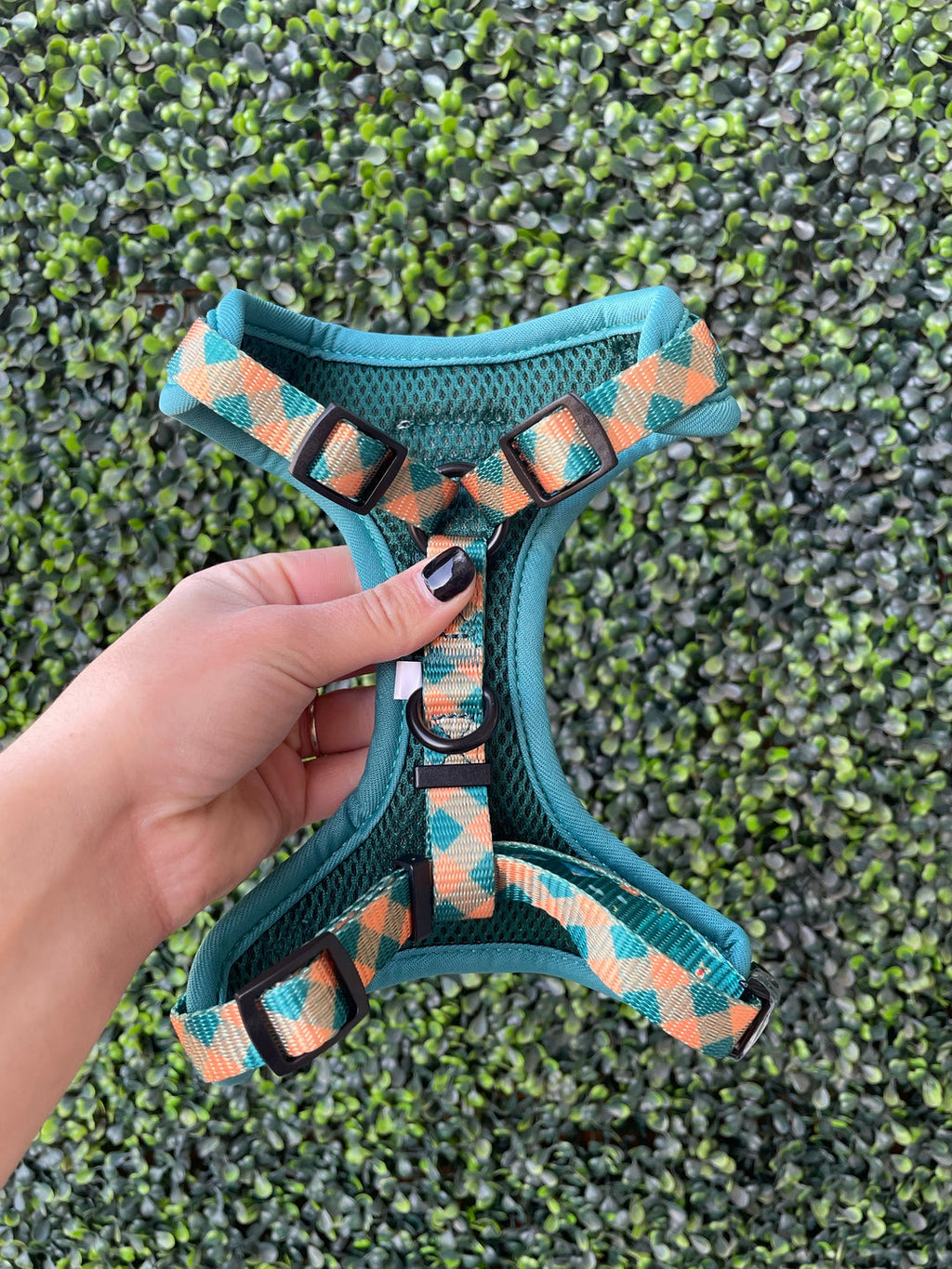 Camping Harness