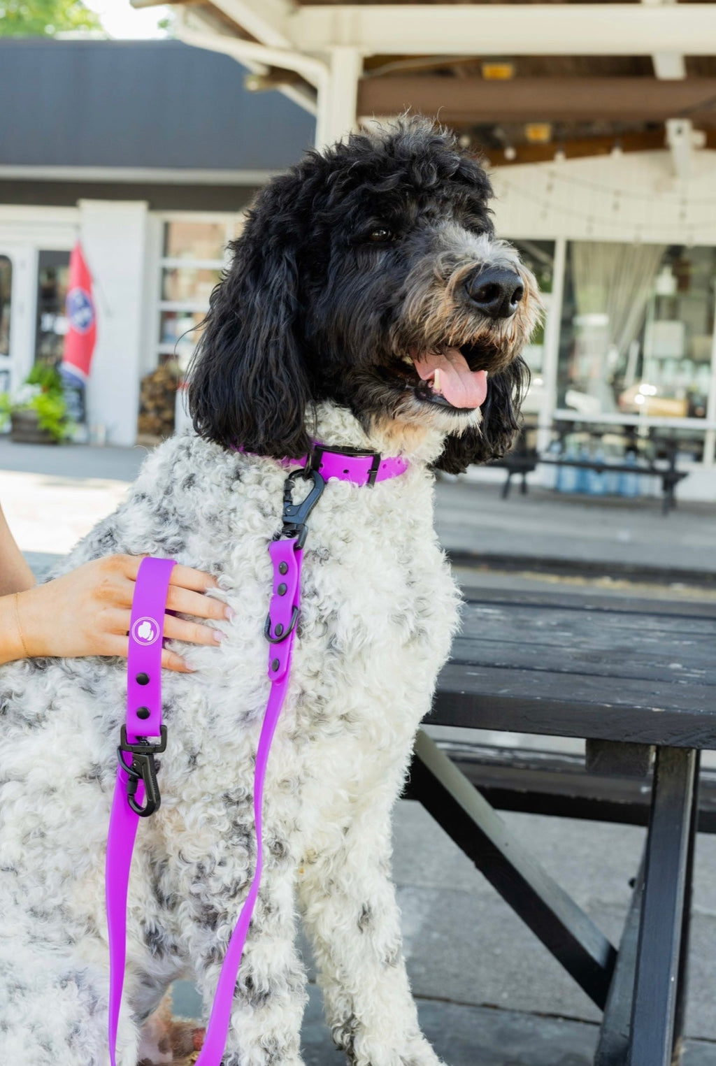 Electric Fuchsia Leash (Weather + Odor Resistant)