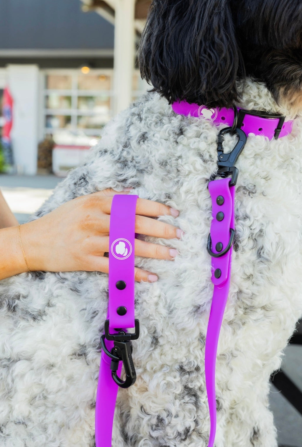Electric Fuchsia Leash (Weather + Odor Resistant)