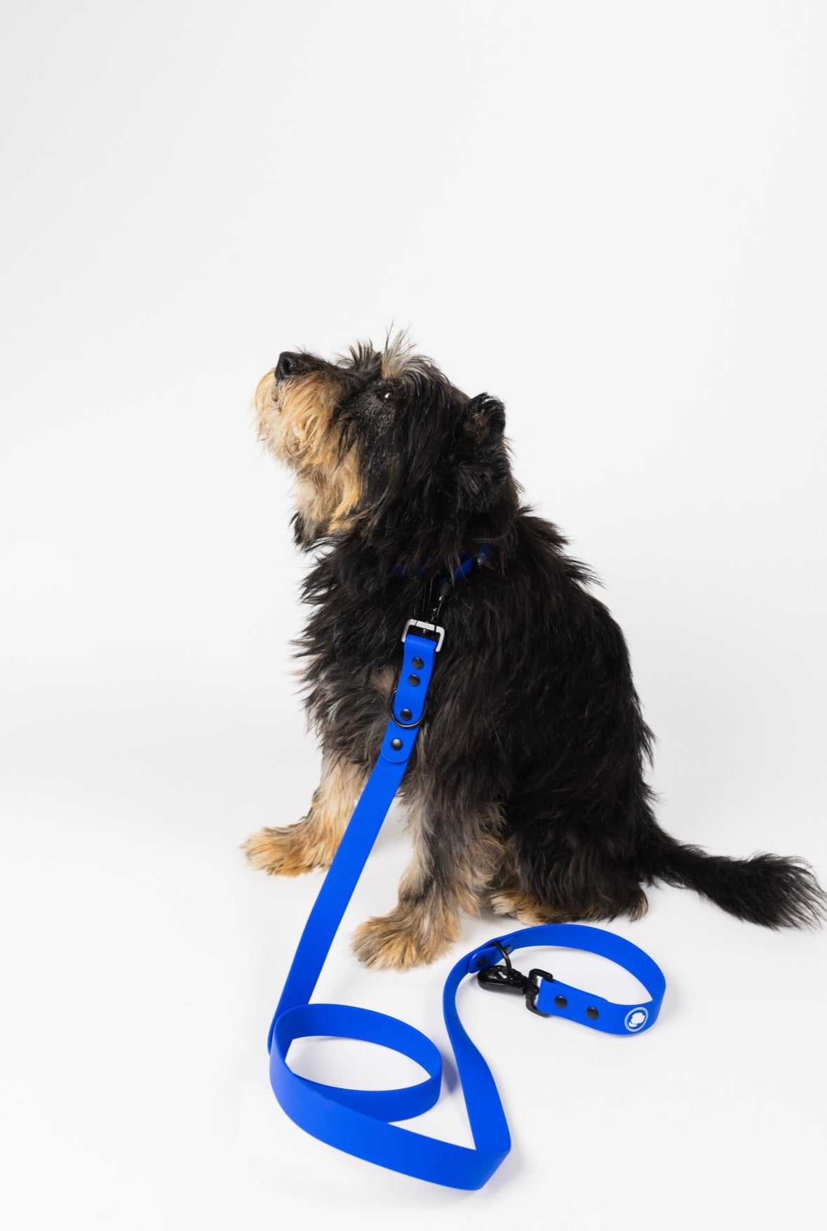 Royal Blue Leash (Weather + Odor Resistant)