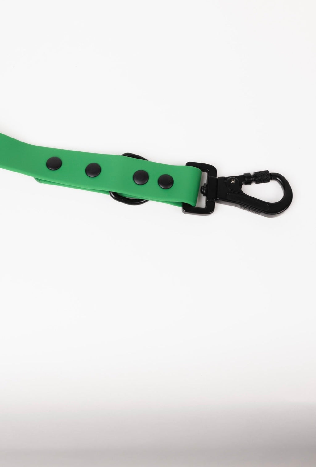 The Modern Dog Company - Clover Green Leash