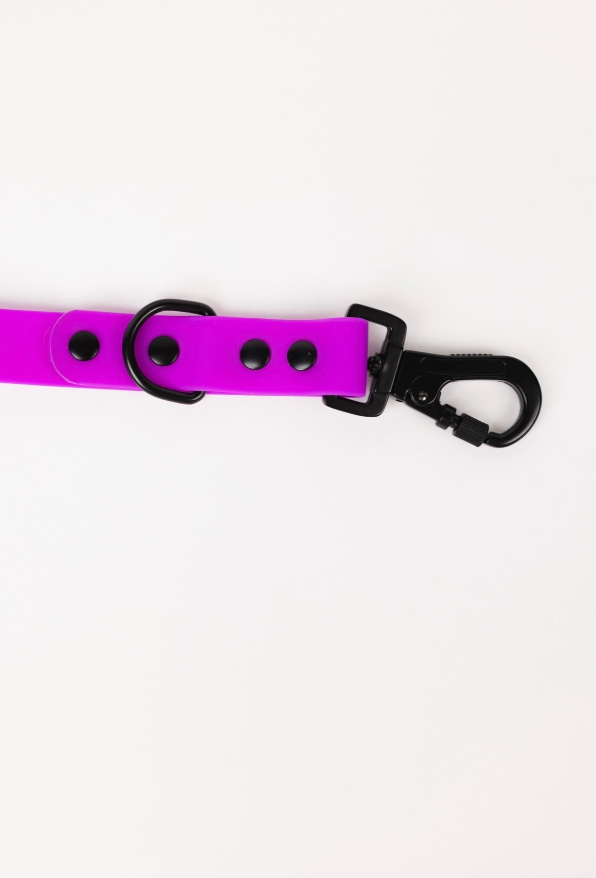 Electric Fuchsia Leash (Weather + Odor Resistant)