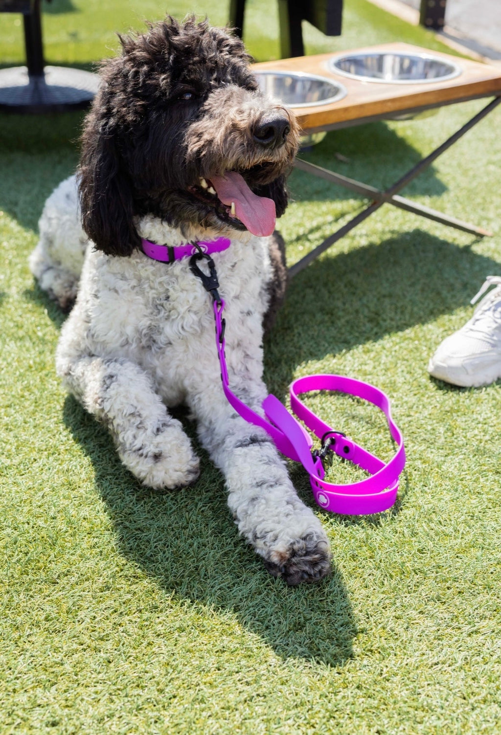 Electric Fuchsia Leash (Weather + Odor Resistant)