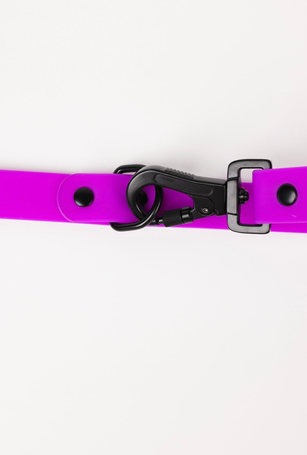 Electric Fuchsia Leash (Weather + Odor Resistant)