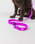 Electric Fuchsia Leash (Weather + Odor Resistant)