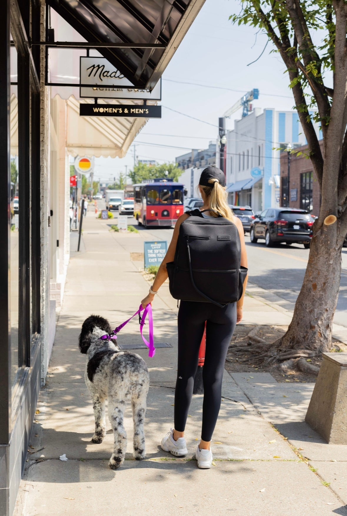 Electric Fuchsia Collar (Weather + Odor Resistant)
